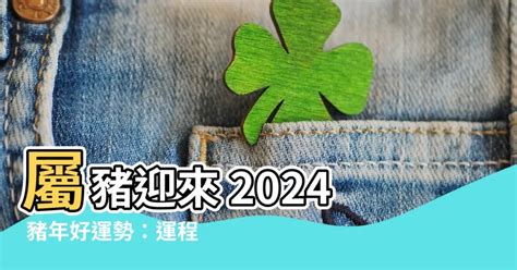 屬豬適合什麼顏色|2024豬年開運色速查